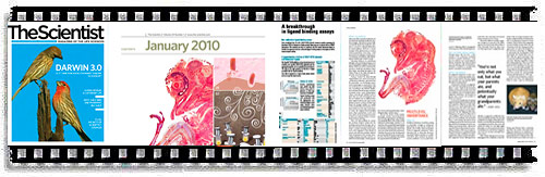 The Scientist covers the Lab's research