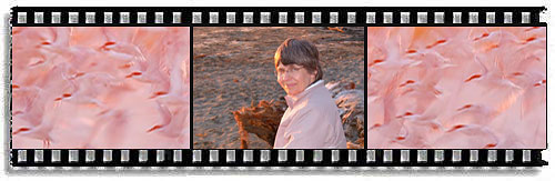 Anne Storey joins the Lab