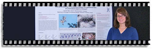 Laurs Stein presents at Honors College Conference