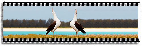 Hawaii are amazing...