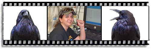 Tina is COS Ambassador of Science